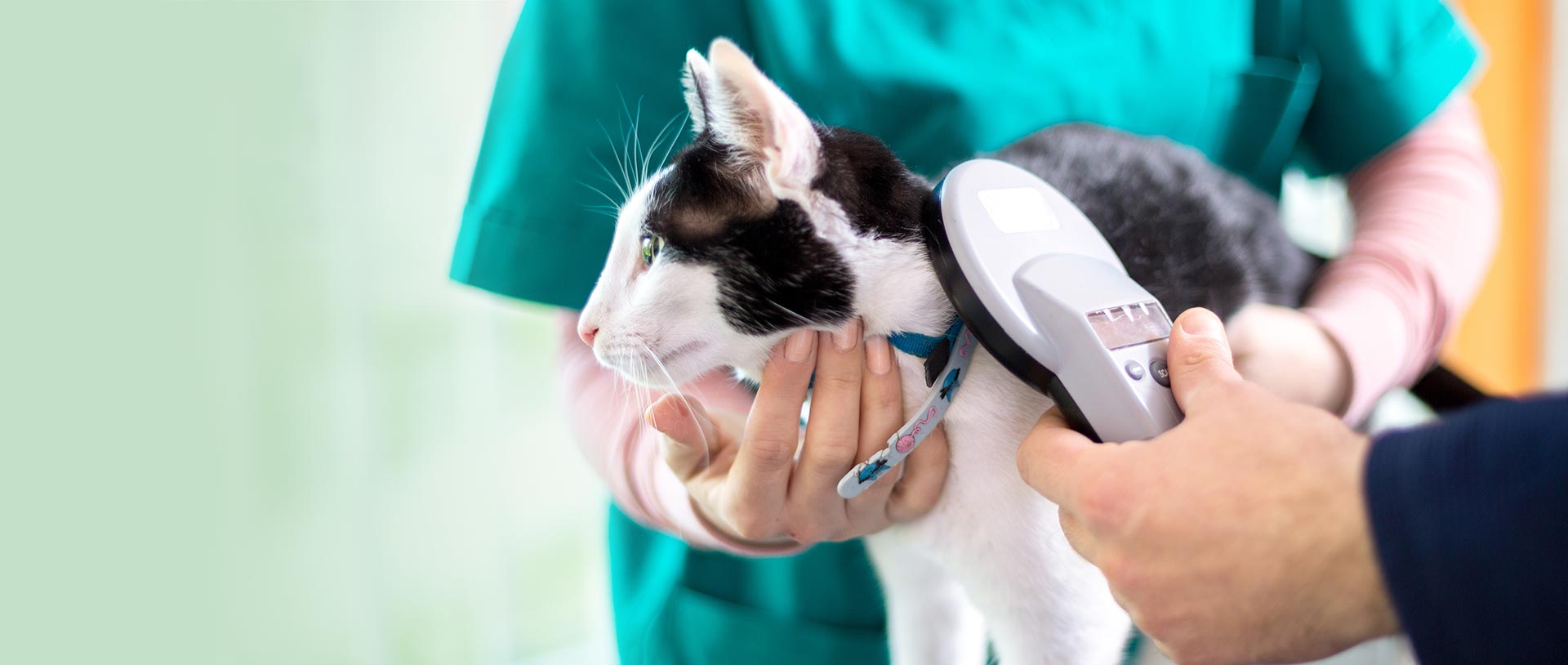 Woods Humane Society Hosts 6 Free Microchip Clinics In May Woods woods-humane-society-hosts-6-free-microchip-clinics-in-may-woods