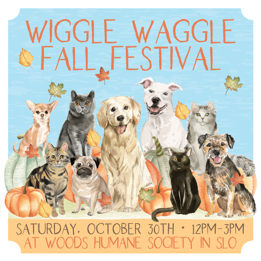 Wiggle Waggle Fall Festival Logo