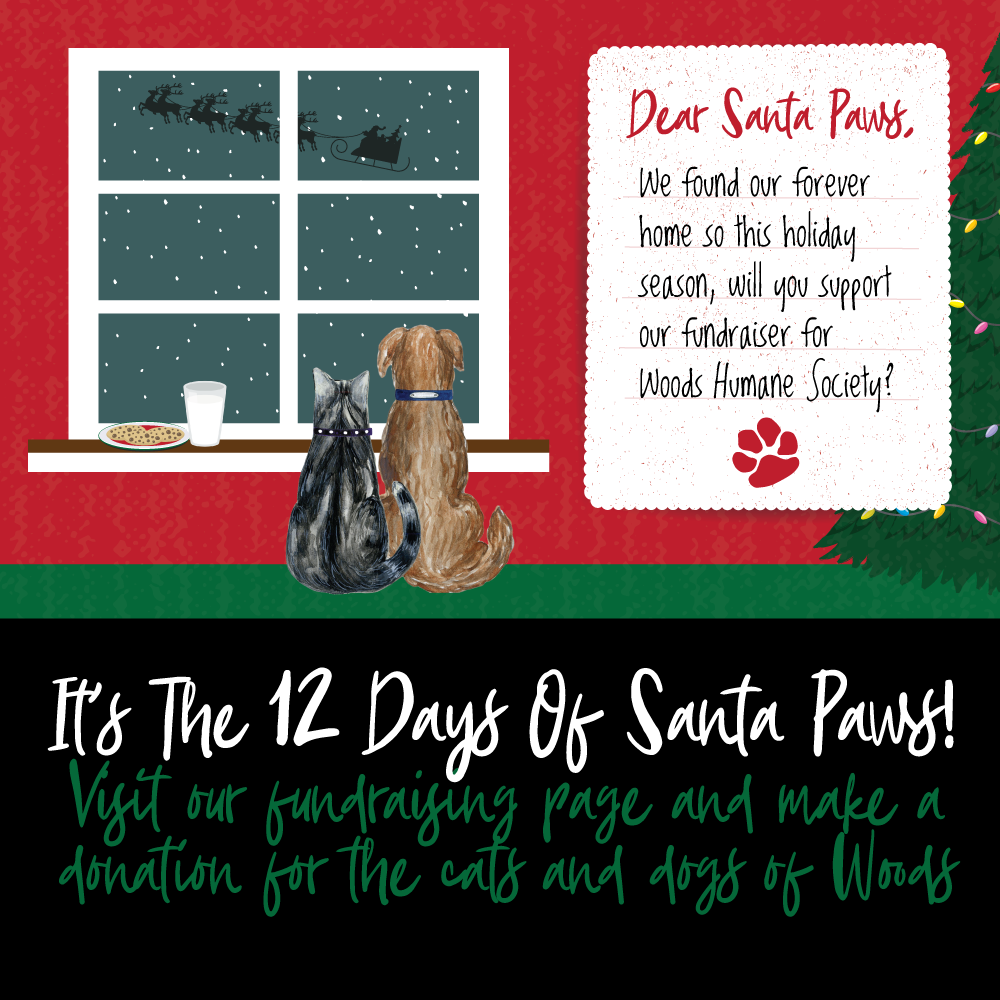Woods-Santa-Paws-2021-GRAPHIC-FOR-SHARING-cat-and-dog