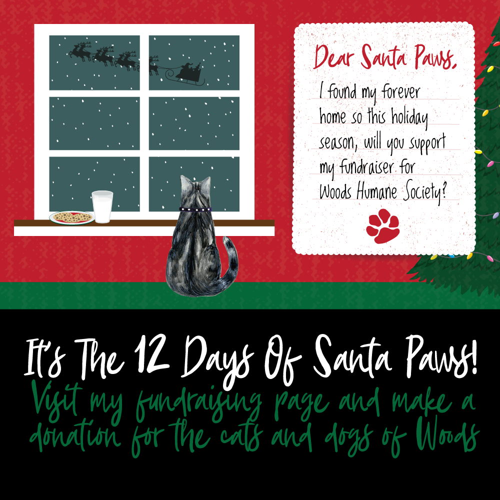 Woods-Santa-Paws-2021-GRAPHIC-FOR-SHARING-cat