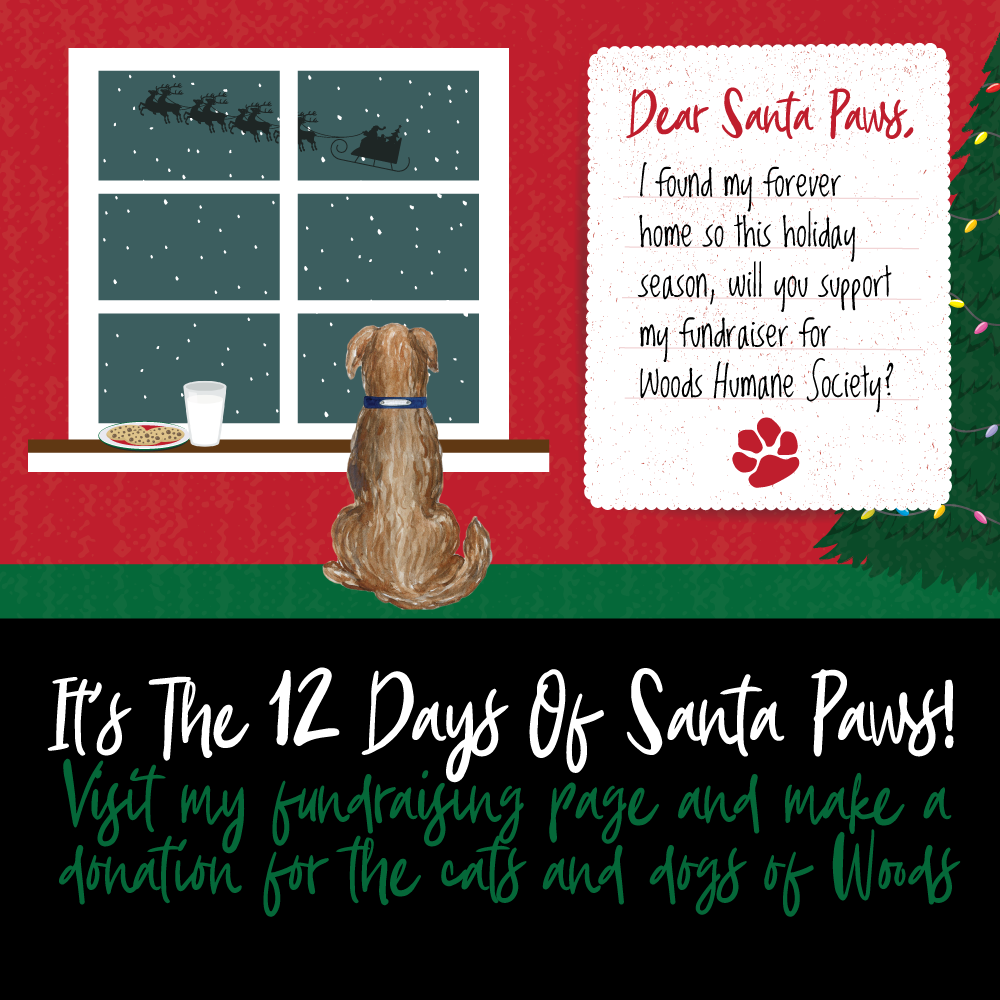 Woods-Santa-Paws-2021-GRAPHIC-FOR-SHARING-dog