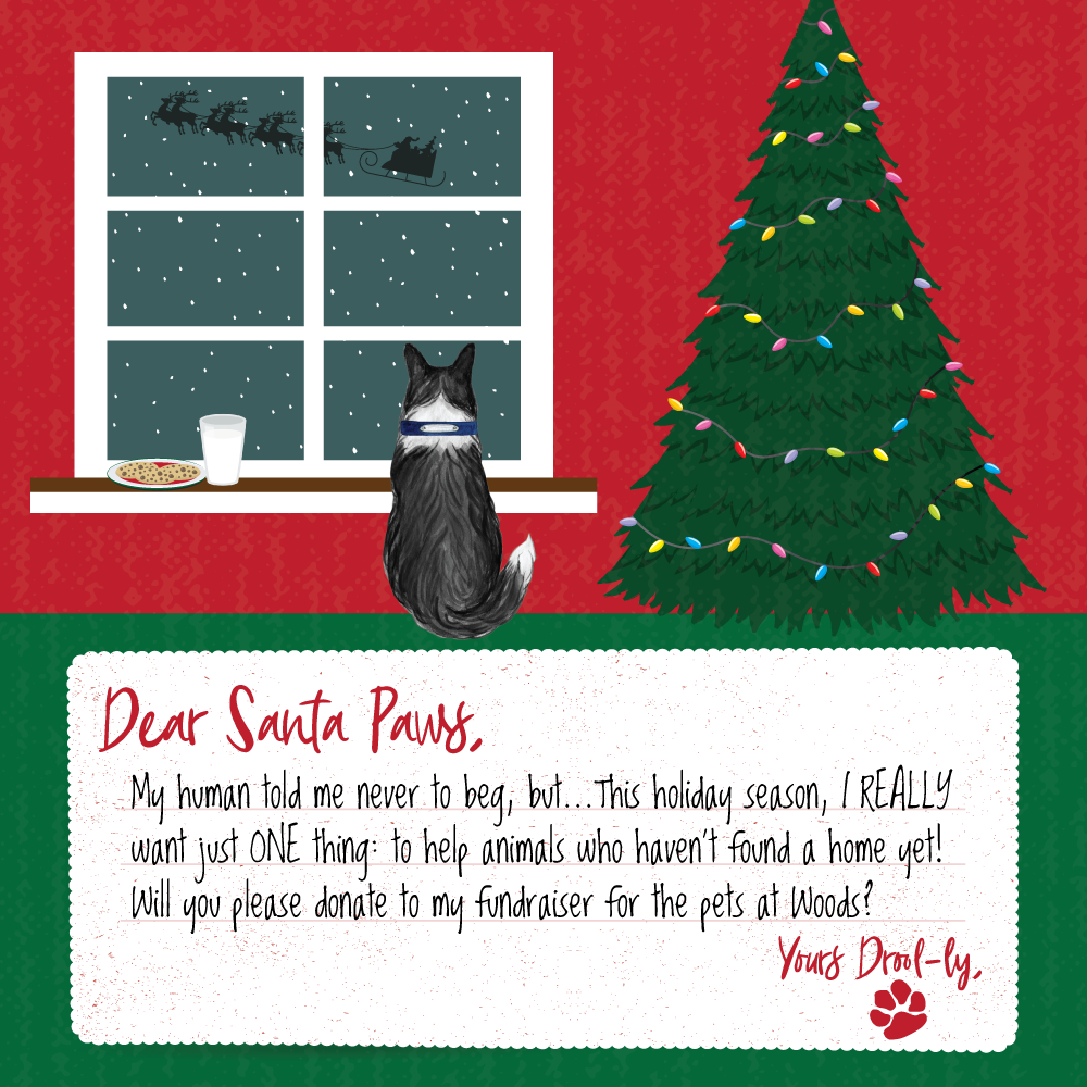 Santa Paws Shareable Letter to Santa