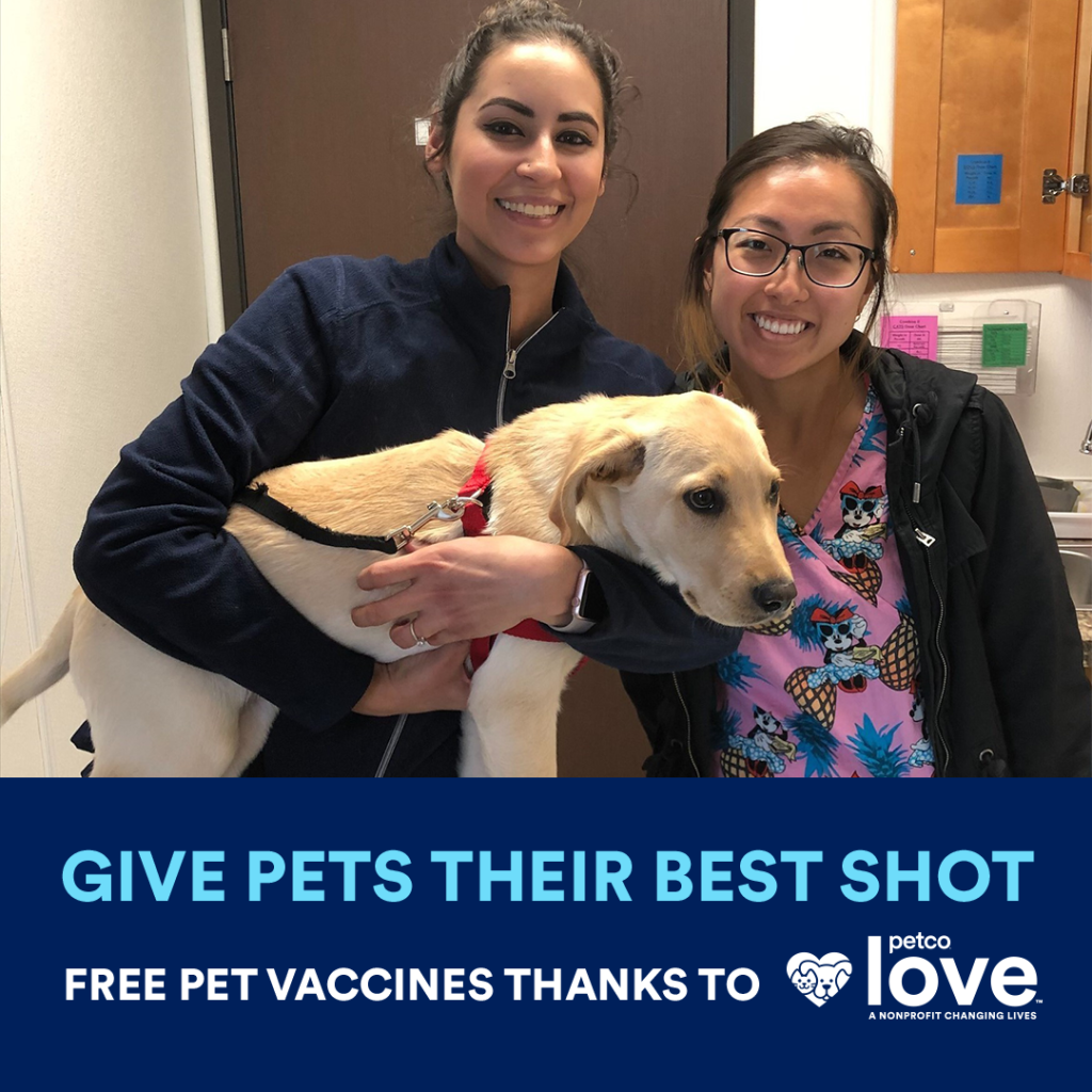 Free Pet Vaccine Clinics for March National Pet Vaccination Month