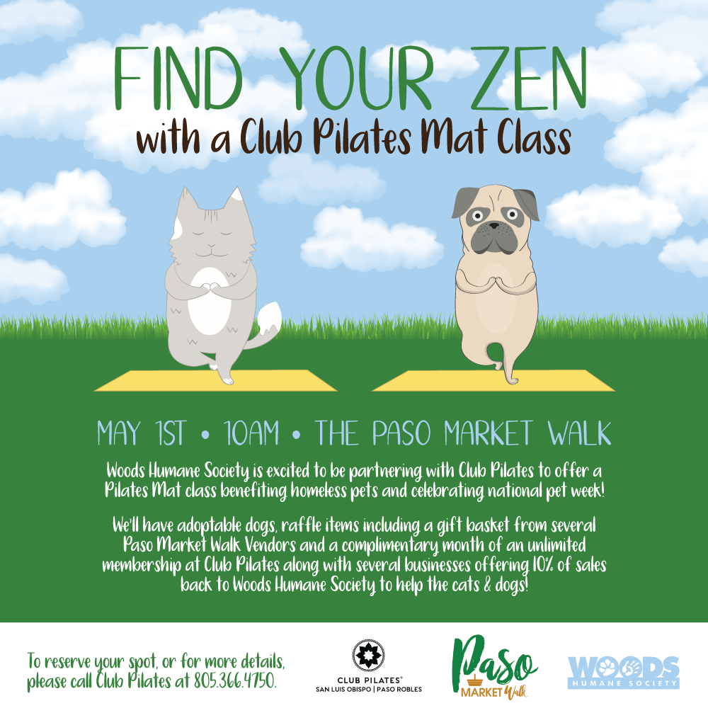 Pilates for Pets
