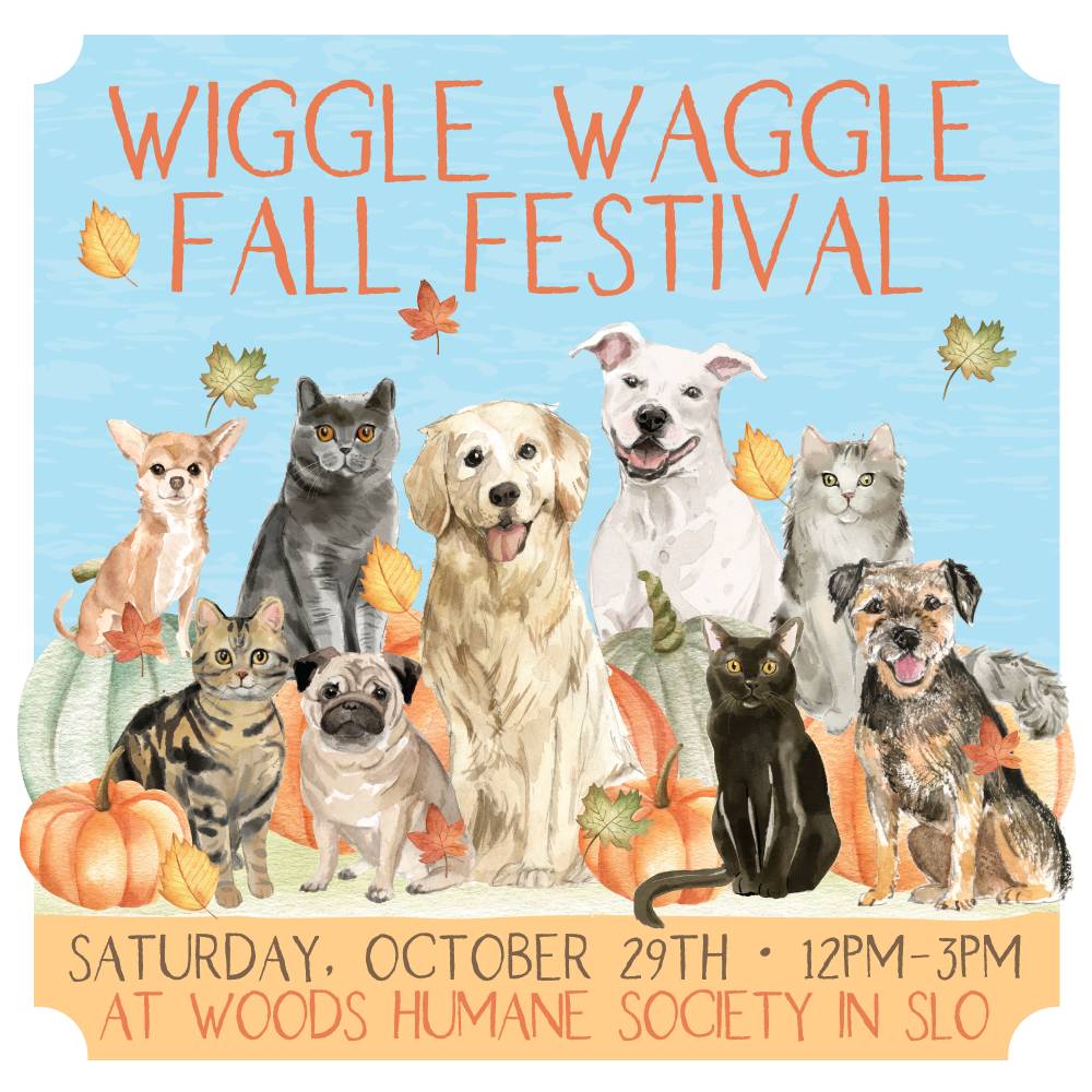 Wiggle Waggle Fall Festival