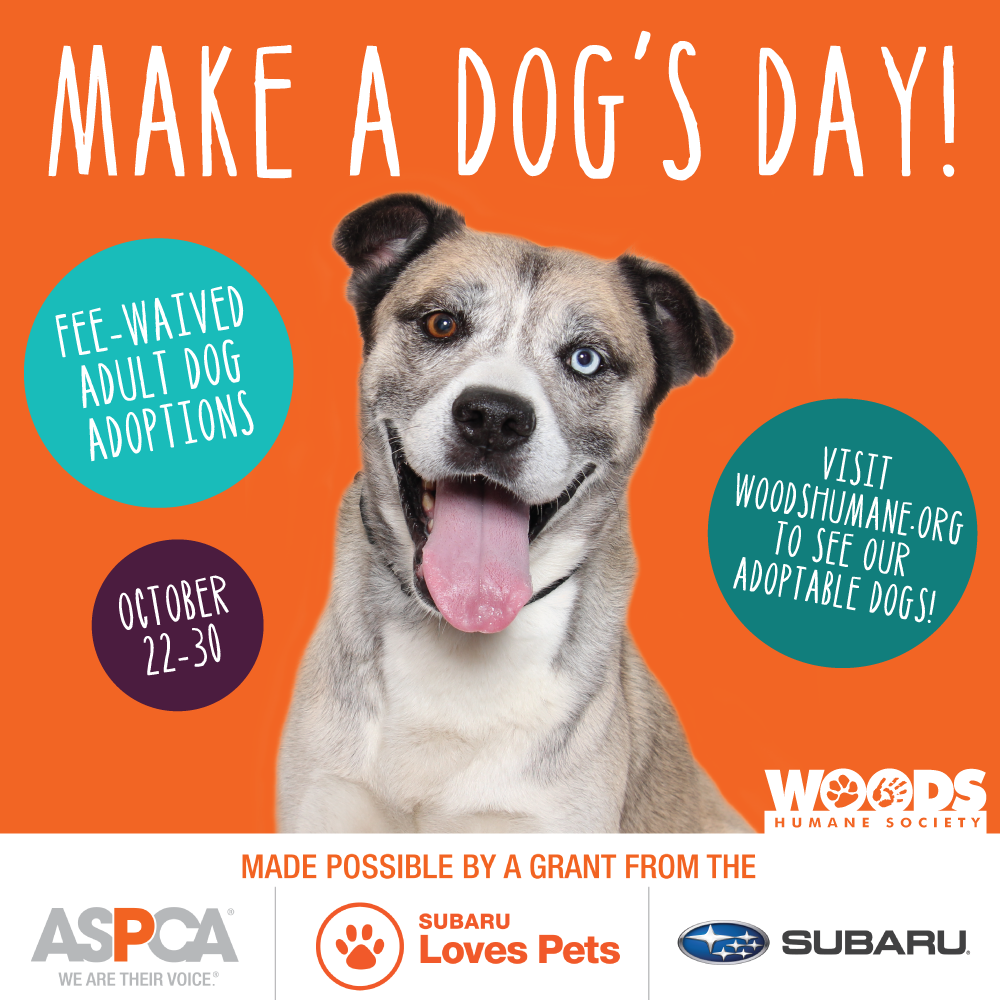 Make a Dog's Day! - Woods Humane Society