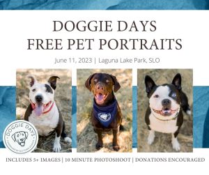 SLO Town Studios Dog Portraits
