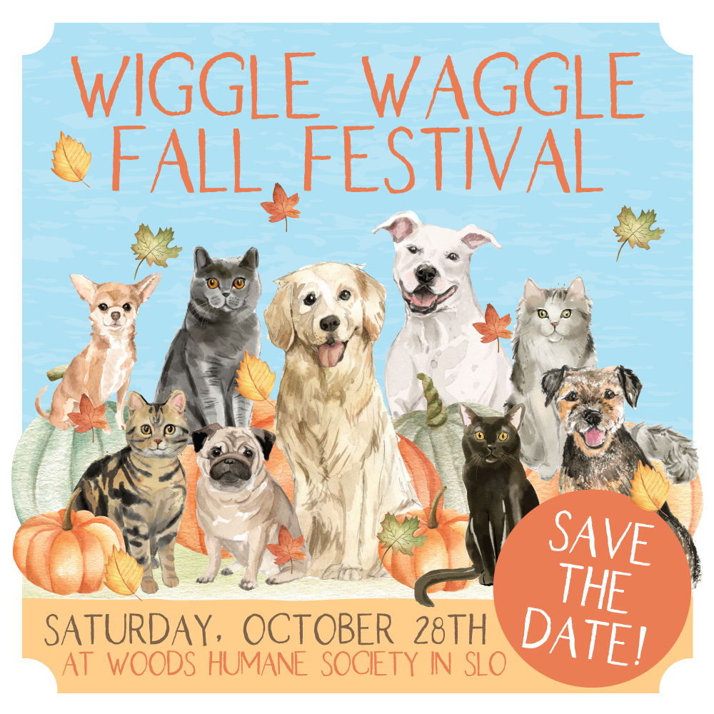 Wiggle Waggle Fall Festival 2023