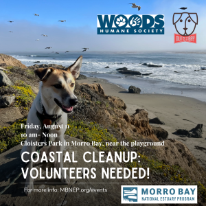 Coastal Cleanup Aug 11, 2023