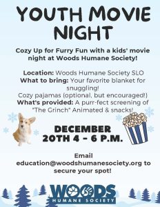 Youth Movie Night