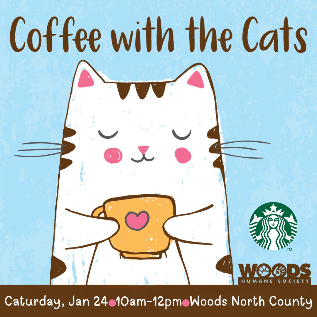 Coffee with the Cats 2025 SOCIAL