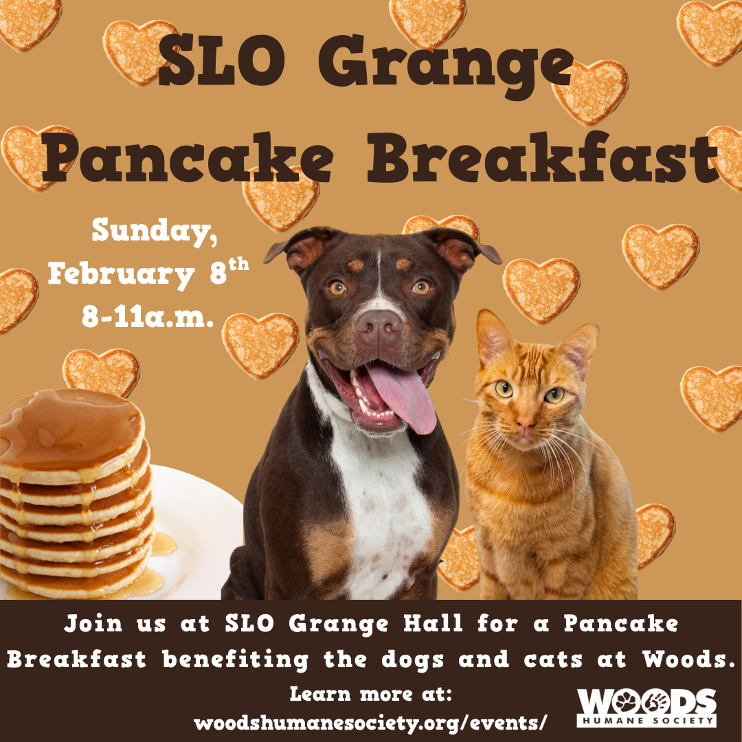 Pancake Breakfast 2026