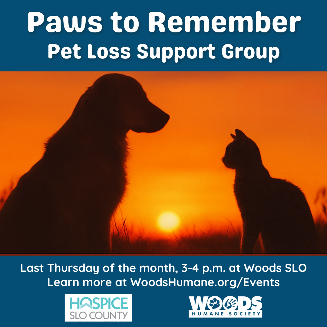 Pet Loss 2025 Social Media