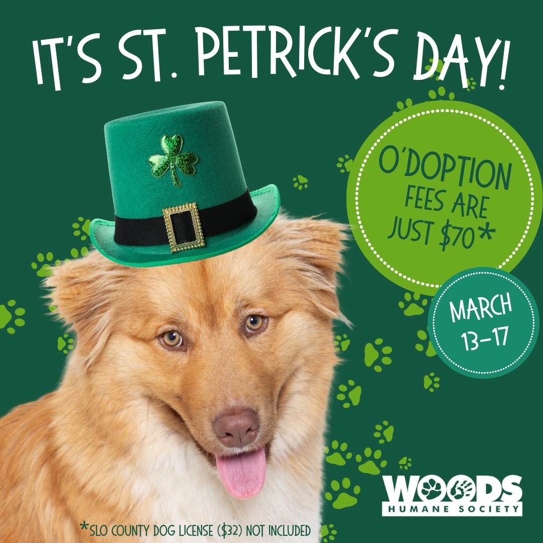 It’s St. PETrick’s Day!