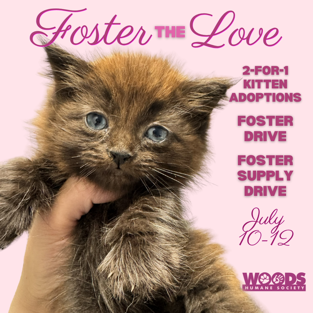Foster the Love_NEW_SOCIAL