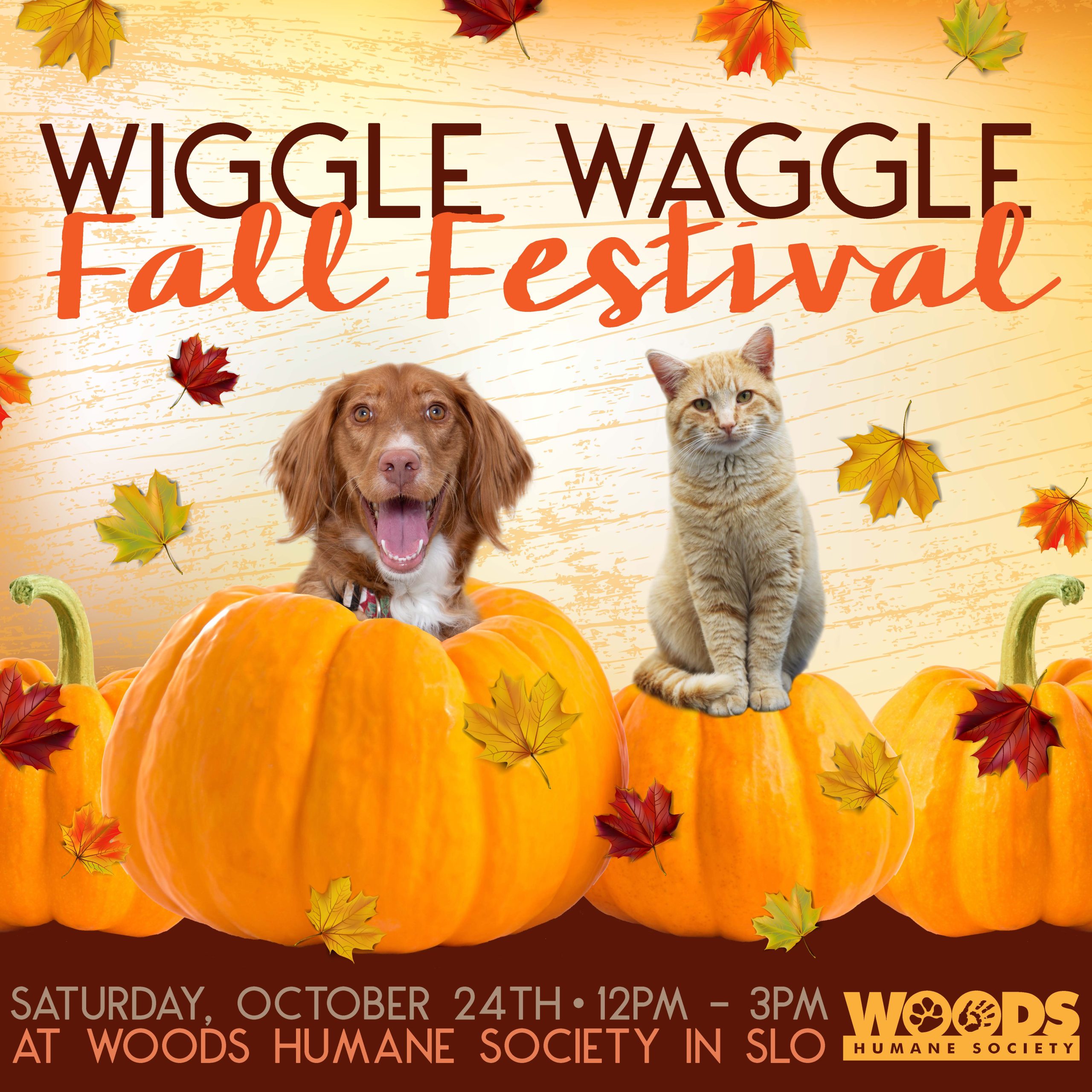 Wiggle Waggle 2026 FACEBOOK INSTAGRAM
